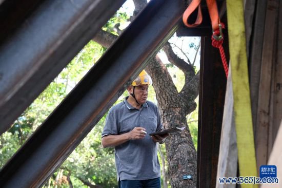 10月14日,香港古树管制大众林妙成在九龙公园勘探大叶合欢古树的情况。新华社记者 陈铎 摄