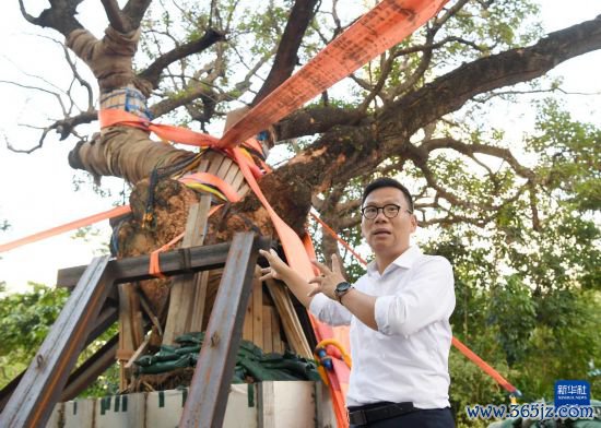 10月14日,中国建造社区救急义工队常务副总率领陈恒镔先容施工情况。新华社记者 陈铎 摄